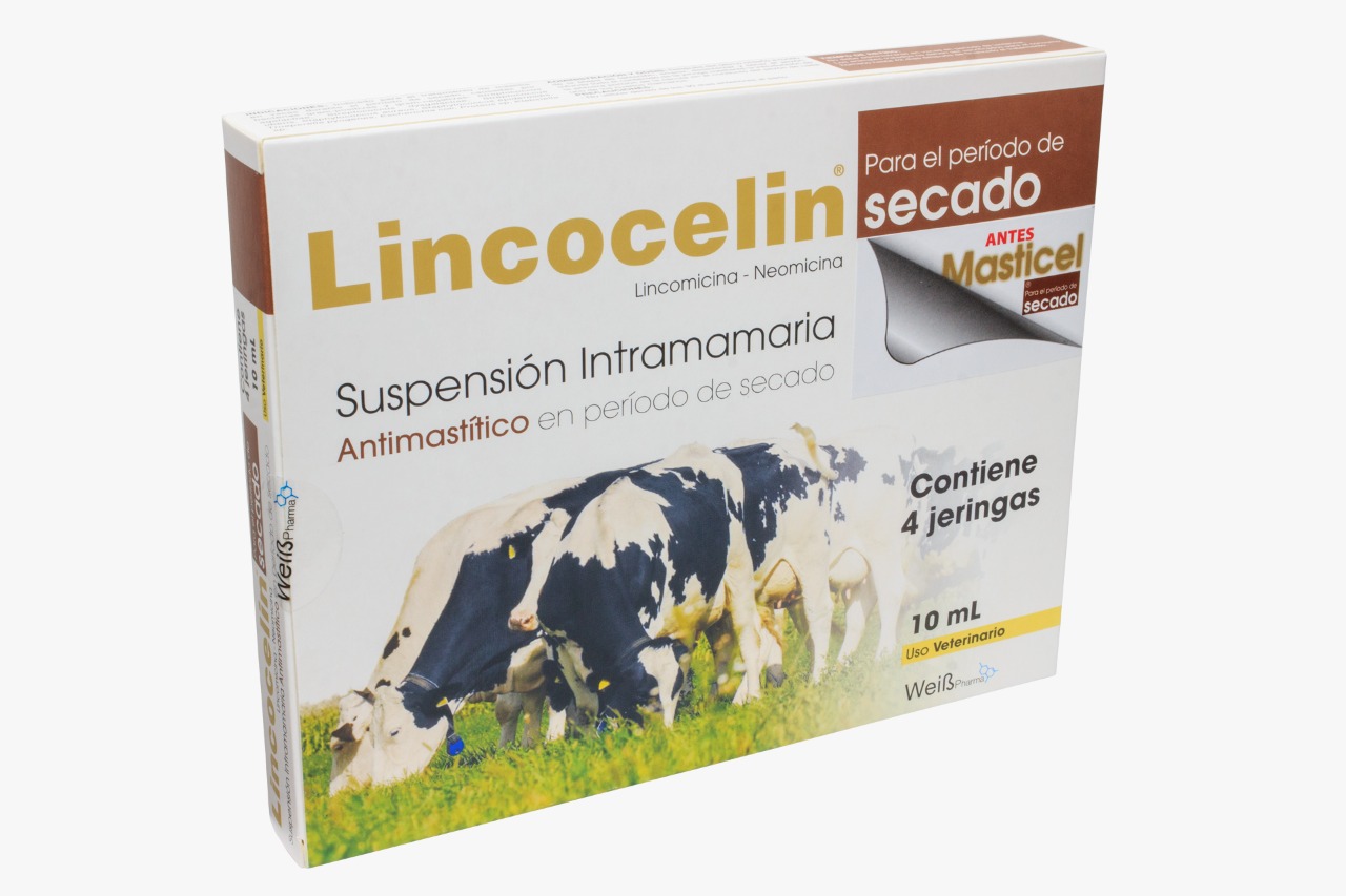 Lincocelin Secado
